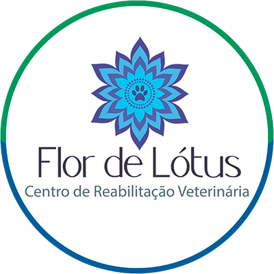 Flor de Lótus